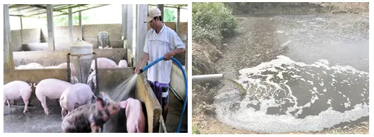 Hầm biogas trong Chăn Nuôi