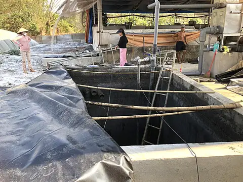 Hầm biogas trong Chăn Nuôi