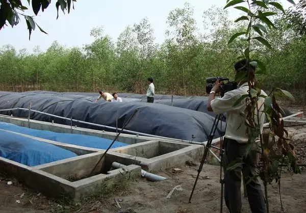 Hầm biogas trong Chăn Nuôi