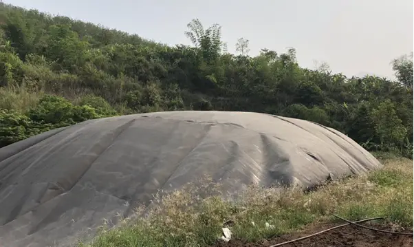 Vai Trò Quan Trọng của Kích Thước Hầm Biogas trong Phát Triển Năng Lượng Sạch và Bền Vững