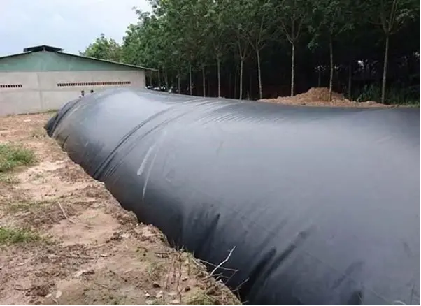 Vai Trò Quan Trọng của Kích Thước Hầm Biogas trong Phát Triển Năng Lượng Sạch và Bền Vững