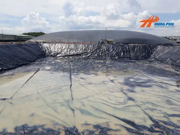 Giải mã Bí mật Năng lượng Xanh từ Cấu tạo Hầm Biogas
