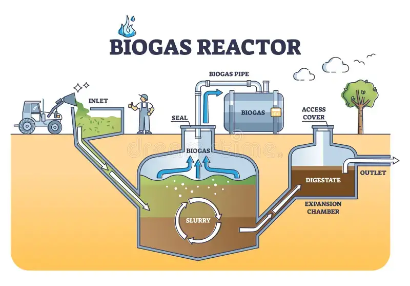 Giải mã Bí mật Năng lượng Xanh từ Cấu tạo Hầm Biogas