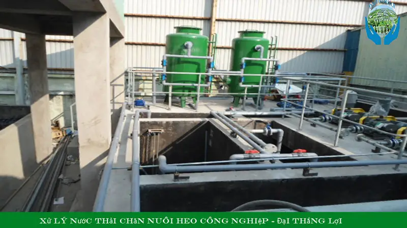 Cách tính lượng nước thải chăn nuôi heo