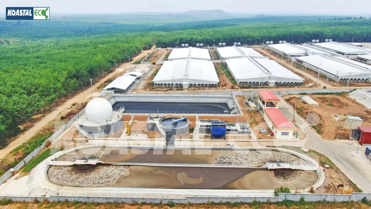 Công nghệ xử lý nước thải chăn nuôi heo