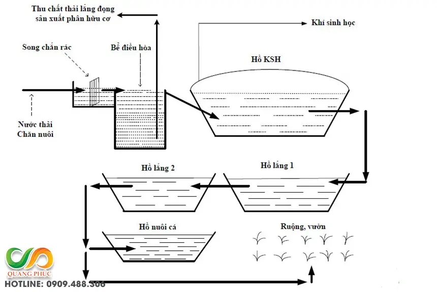 Qcvn 62 nước thải chăn nuôi