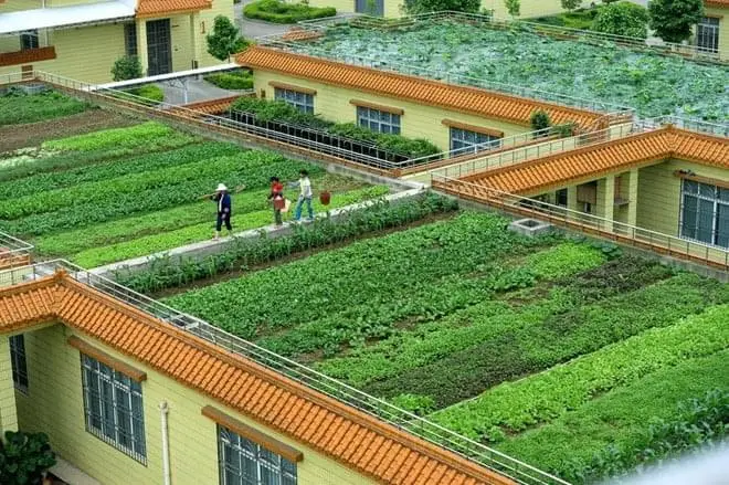 Vỉ nhựa thoát nước trồng cây