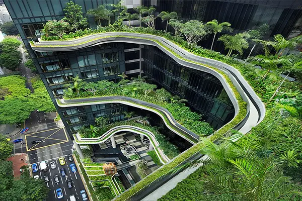 Vỉ nhựa thoát nước trồng cây
