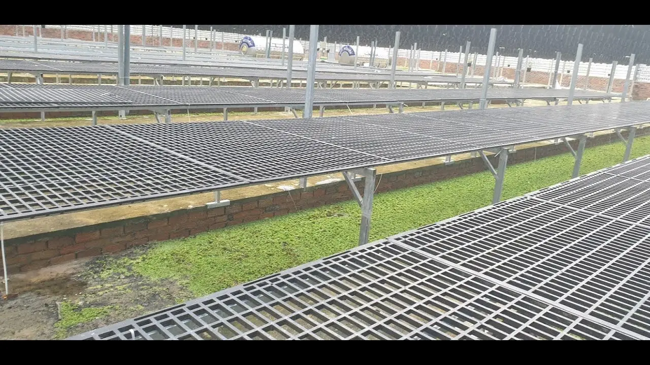 Xanh Mướt Thành Phố, Vỉ Nhựa Trồng Cây - Giải Pháp Xanh Thông Minh