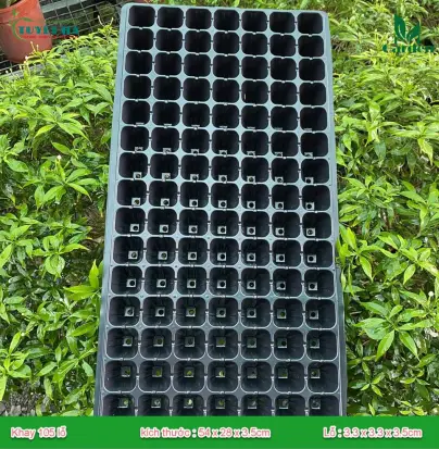 Xanh Mướt Thành Phố, Vỉ Nhựa Trồng Cây - Giải Pháp Xanh Thông Minh