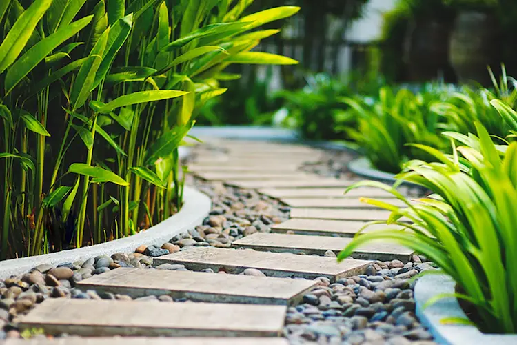 Vỉ thoát nước sân vườn