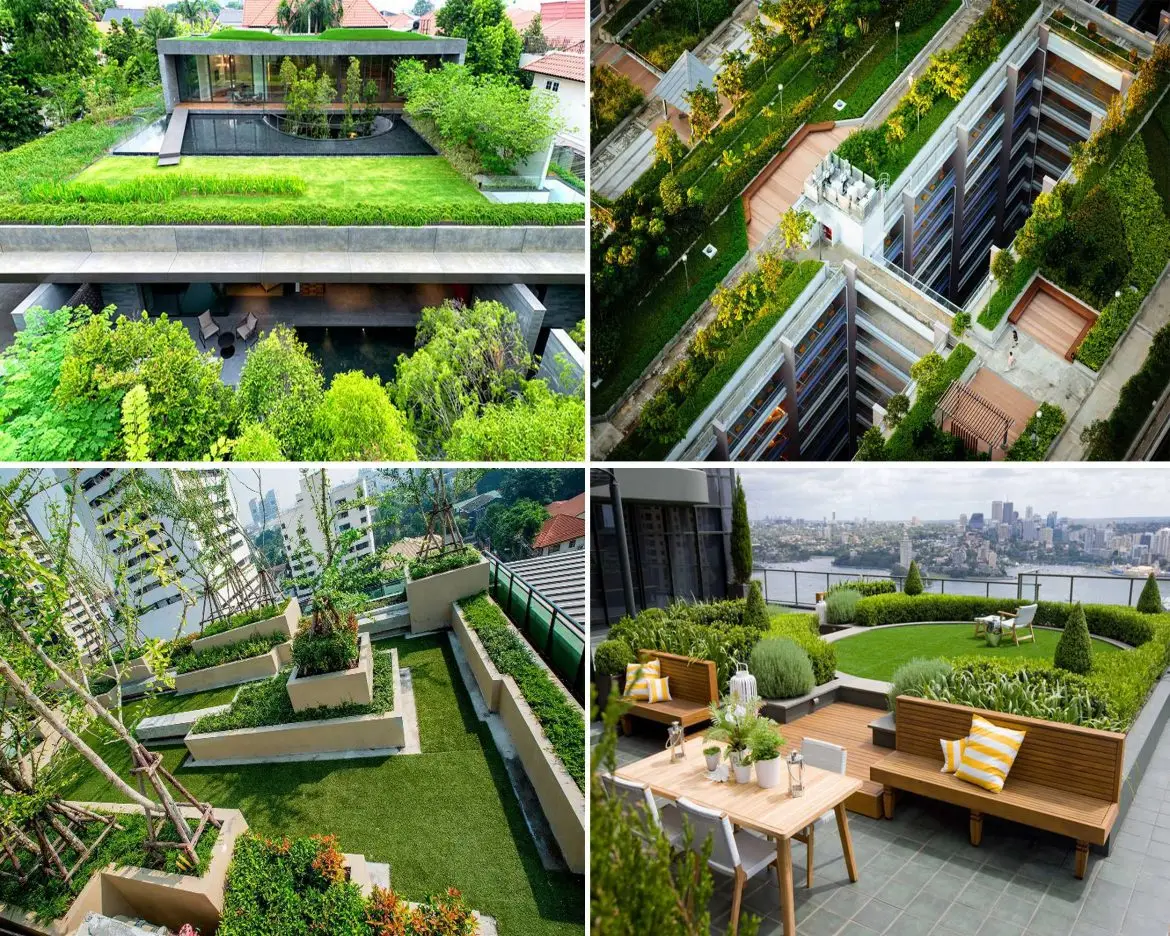 Vỉ thoát nước sân vườn