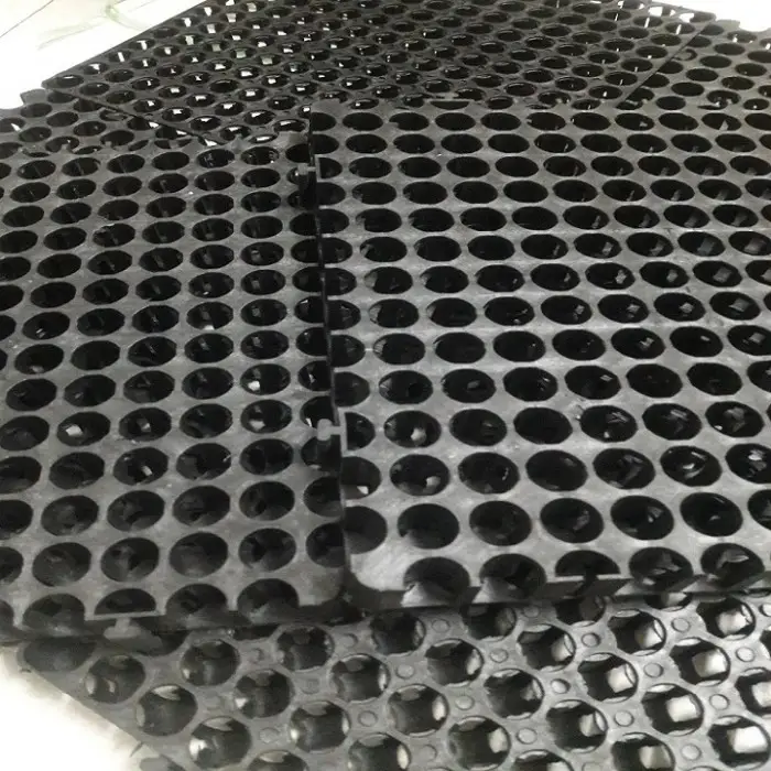 Vĩ nhựa thoát nước - Giải pháp xanh cho đô thị hiện đại