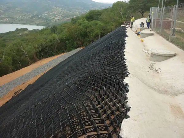 Ô địa kỹ thuật trồng cỏ