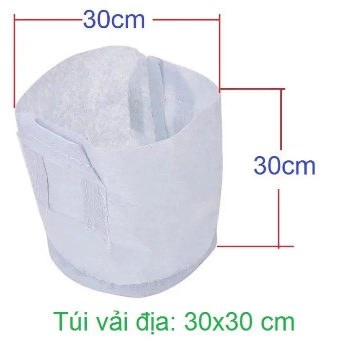 Vườn Xanh Thân Thiện Môi Trường với Chậu Vải Trồng Cây