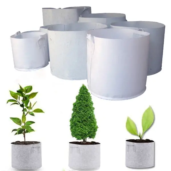 Túi vải địa trồng cây