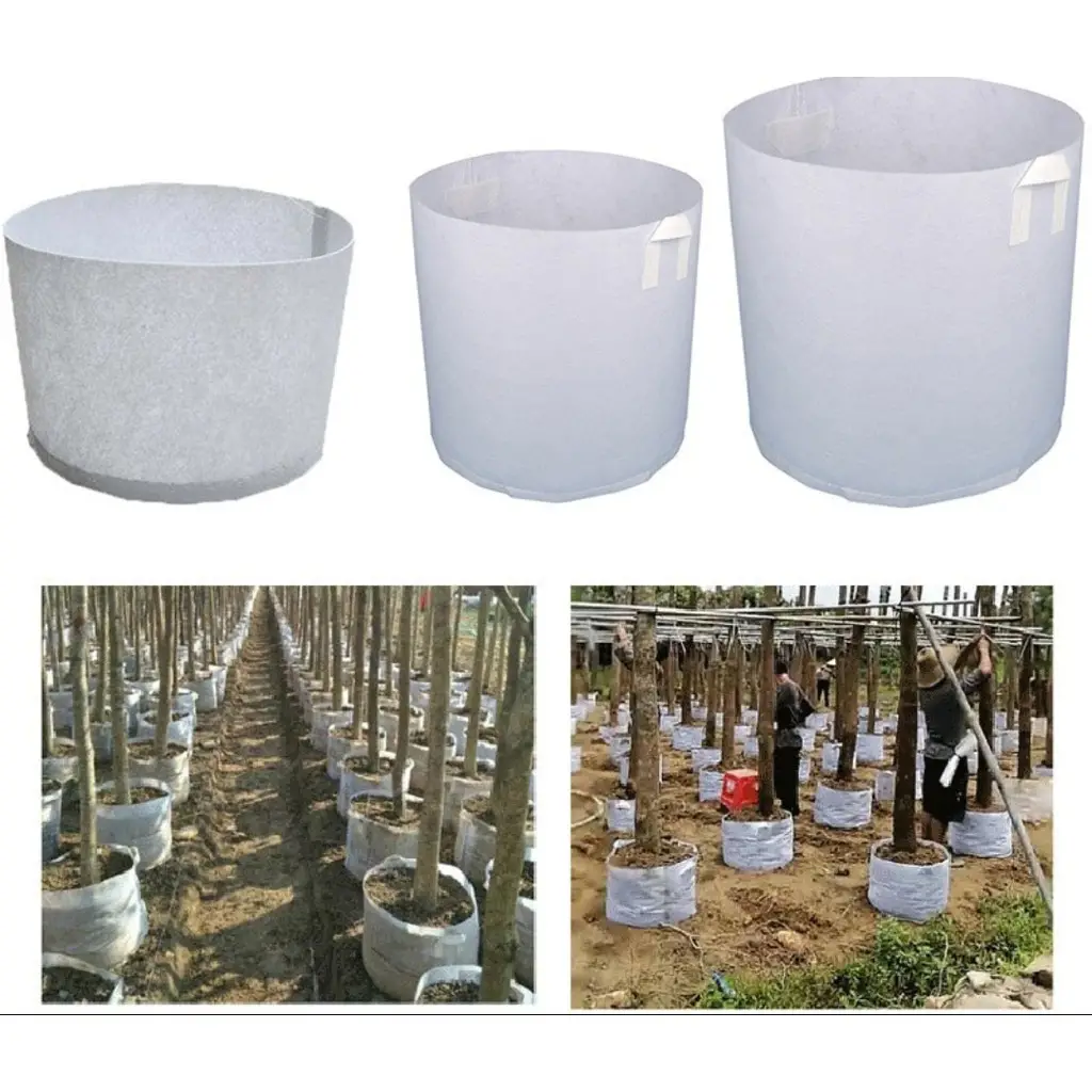 Túi vải địa trồng cây