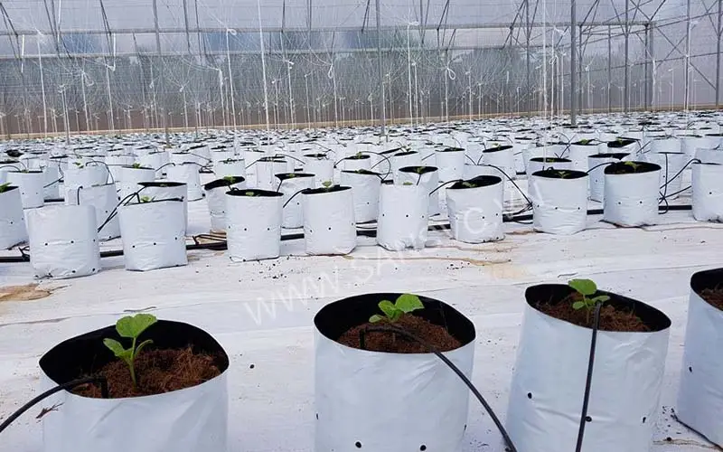 Túi vải địa trồng cây