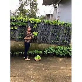 Túi trồng cây treo tường