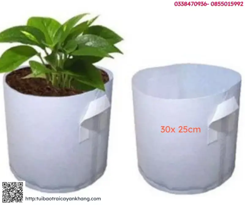 Vải địa kỹ thuật trồng cây - Tạo không gian xanh bảo vệ môi sinh