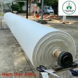 Vải địa kỹ thuật trồng cây - Tạo không gian xanh bảo vệ môi sinh
