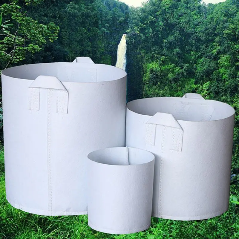 Vải địa kỹ thuật trồng cây - Tạo không gian xanh bảo vệ môi sinh
