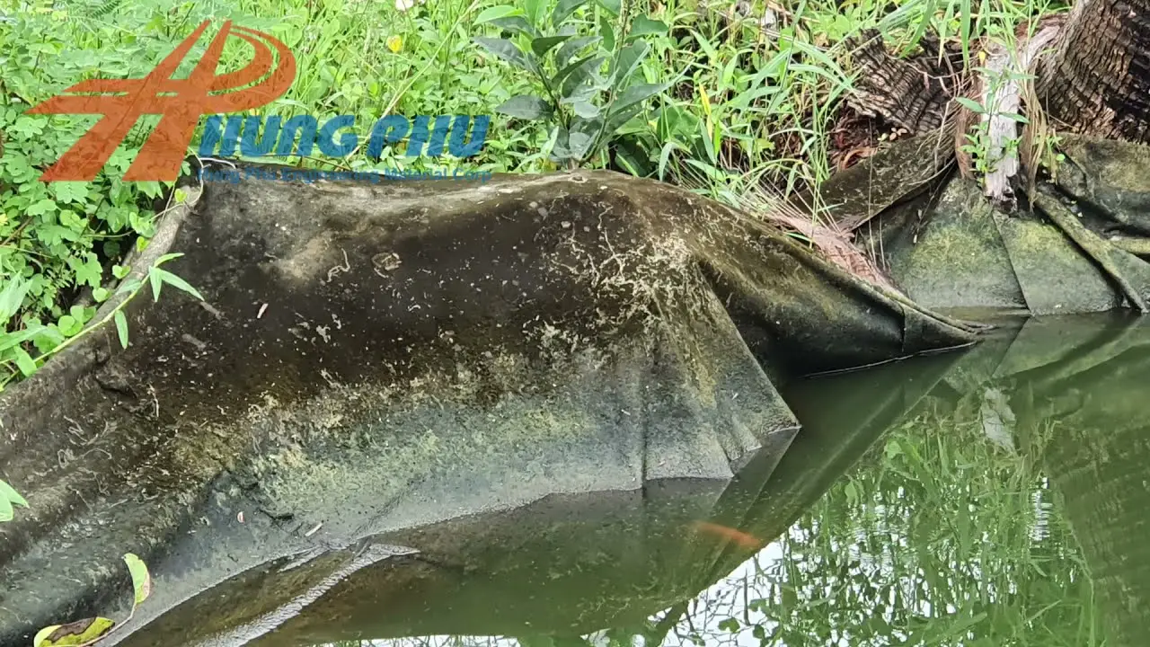 Vải địa kỹ thuật trồng cây - Tạo không gian xanh bảo vệ môi sinh