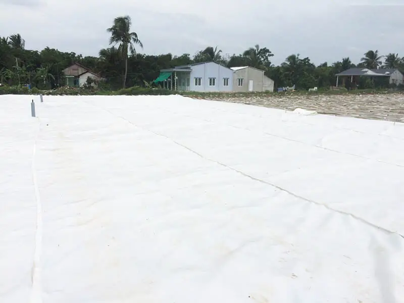 Vải Địa Kỹ Thuật TS20