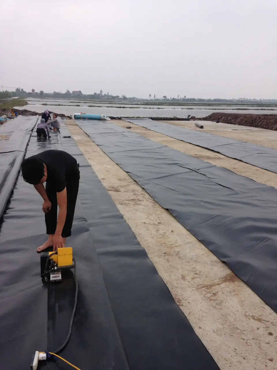 Màng Chống Thấm HDPE Dày 0.3 mm