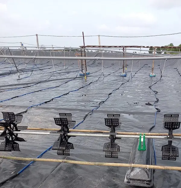 Bạt Lót HDPE – Giải Pháp Toàn Diện Cho Nông Nghiệp và Xây Dựng