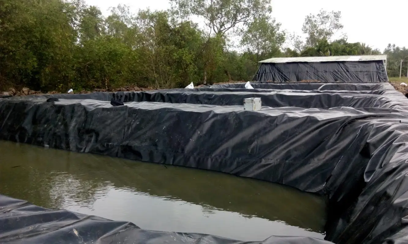 Bạt Lót HDPE – Giải Pháp Toàn Diện Cho Nông Nghiệp và Xây Dựng