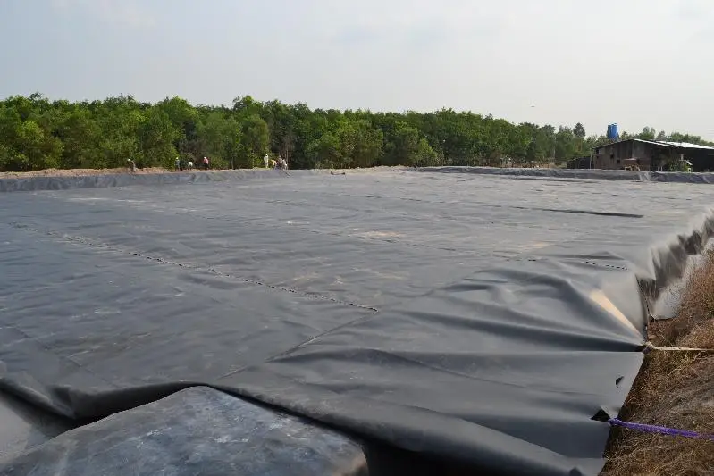 Bạt HDPE Đen – Giải Pháp Toàn Diện Cho Nông Nghiệp, Thủy Sản và Xây Dựng