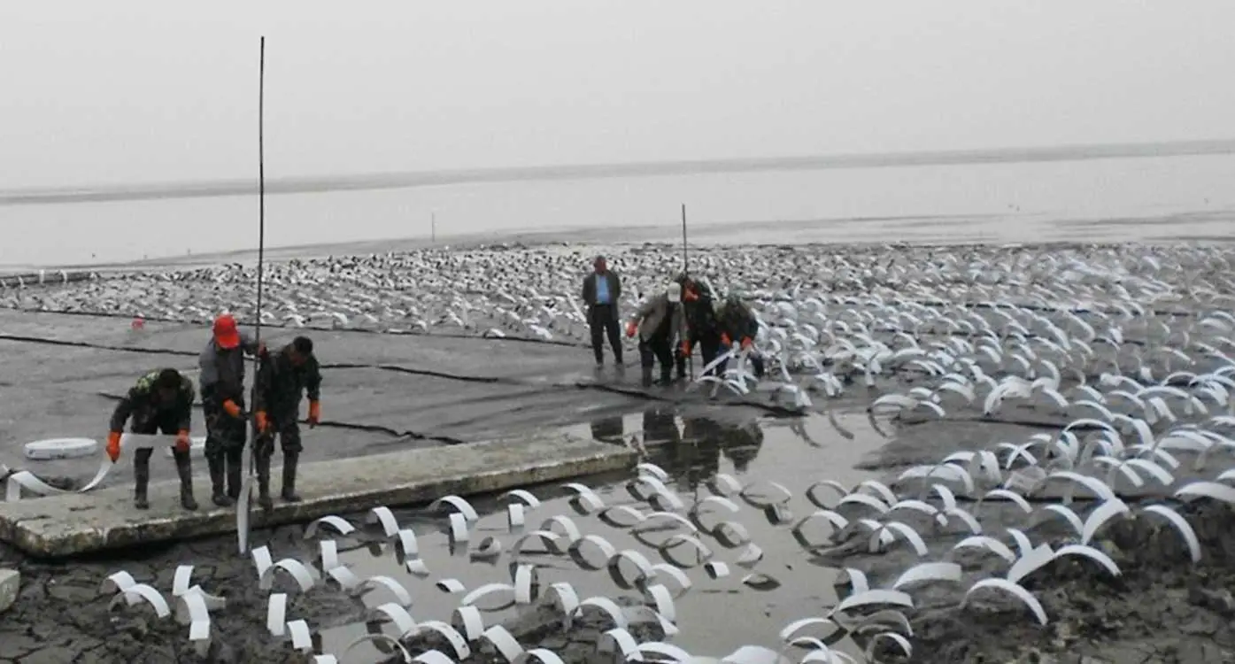 Các Loại Bấc Thấm Và Vai Trò Quan Trọng Trong Xây Dựng Và Nông Nghiệp