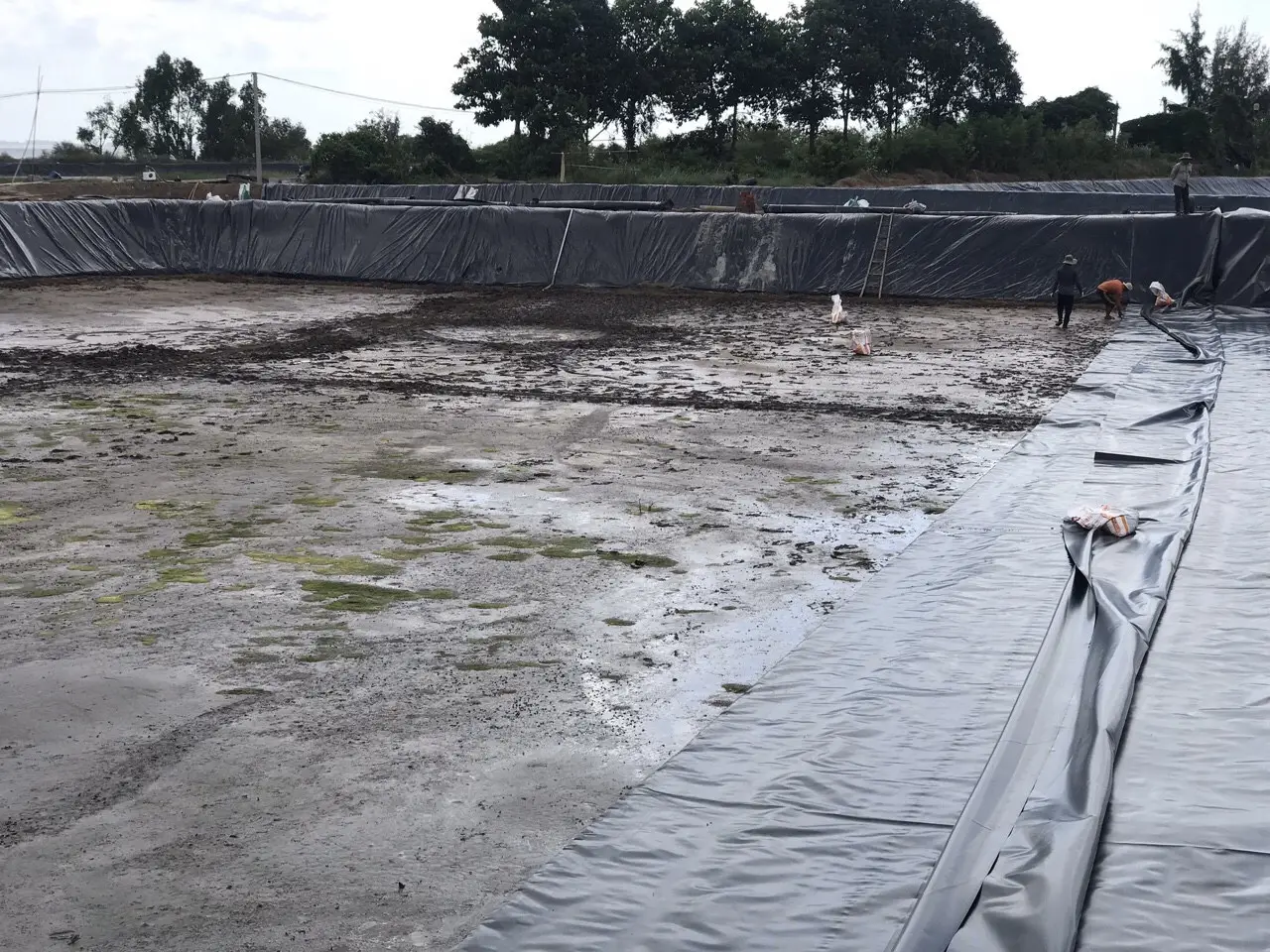 Thi Công Màng Chống Thấm HDPE