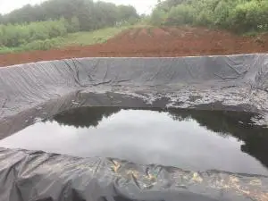 Biện Pháp Thi Công Màng Chống Thấm HDPE