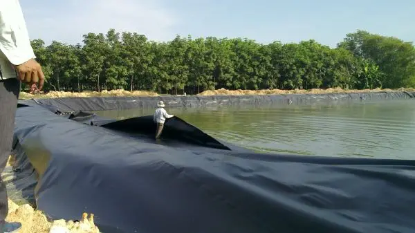 Thi Công Hàn Bạt HDPE