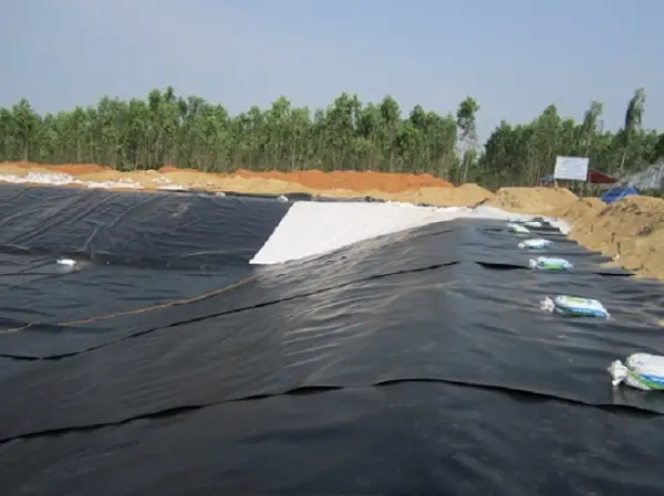 Hầm Biogas HDPE - Giải Pháp Năng Lượng Xanh Cho Tương Lai