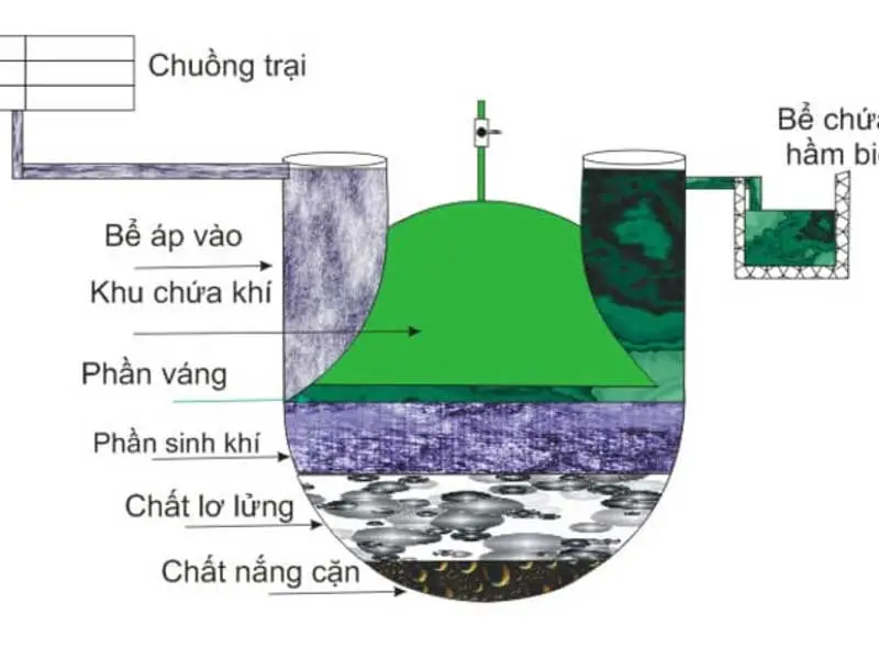 Cấu Tạo Hầm Biogas HDPE