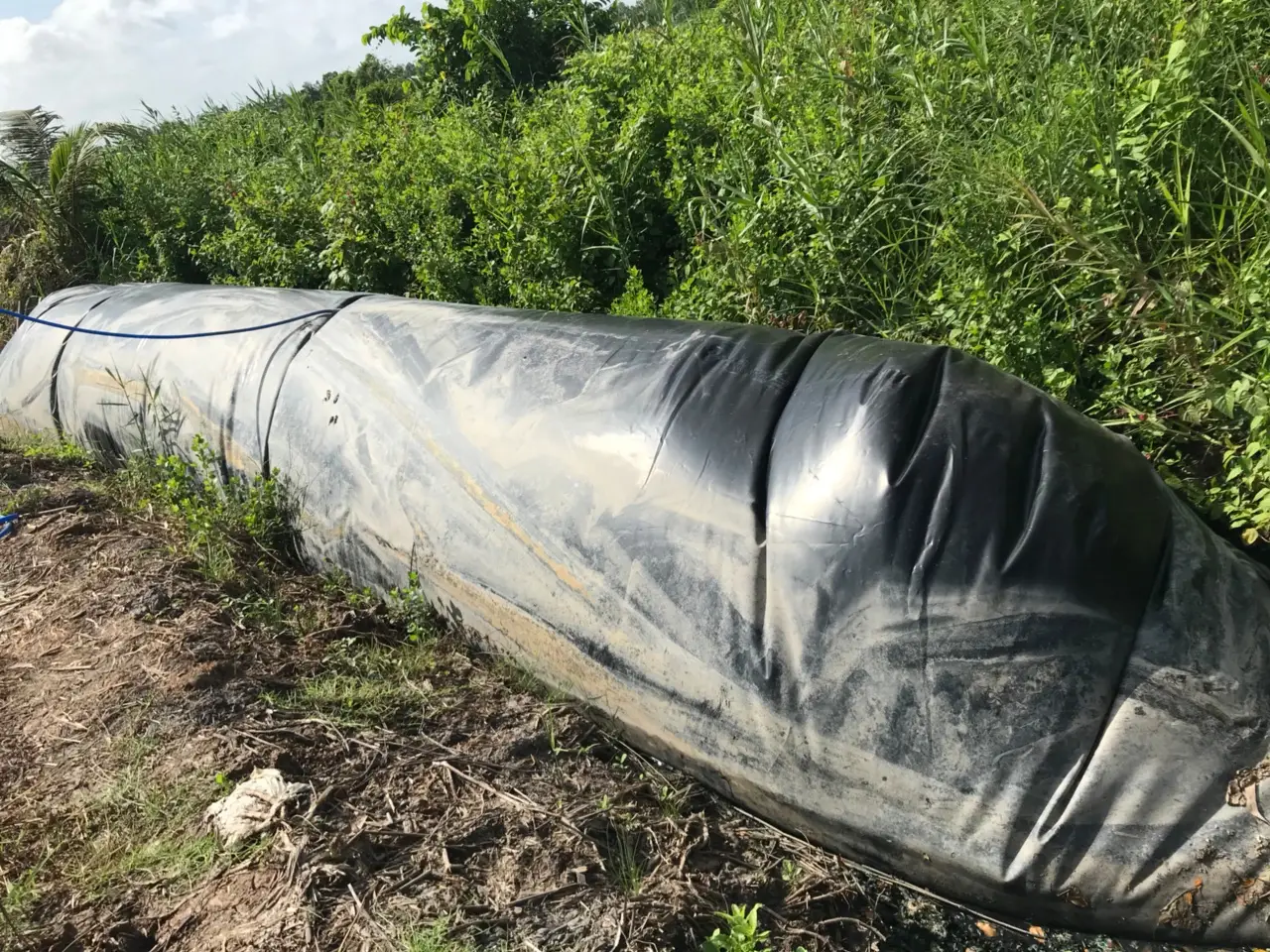 Túi Biogas HDPE – Giải Pháp Xanh Cho Nông Nghiệp Việt Nam