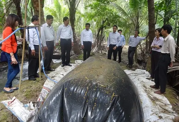 Túi Biogas HDPE – Giải Pháp Xanh Cho Nông Nghiệp Việt Nam