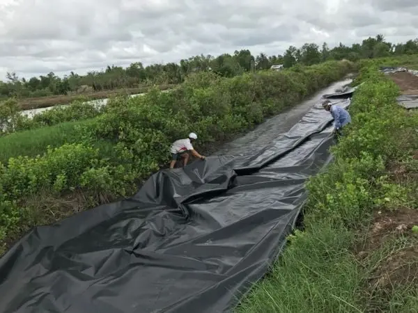 Túi Biogas Ứng Dụng Vật Liệu HDPE