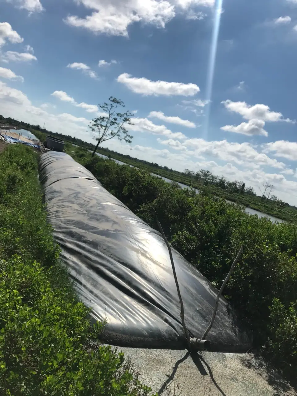 Túi Biogas Ứng Dụng Vật Liệu HDPE