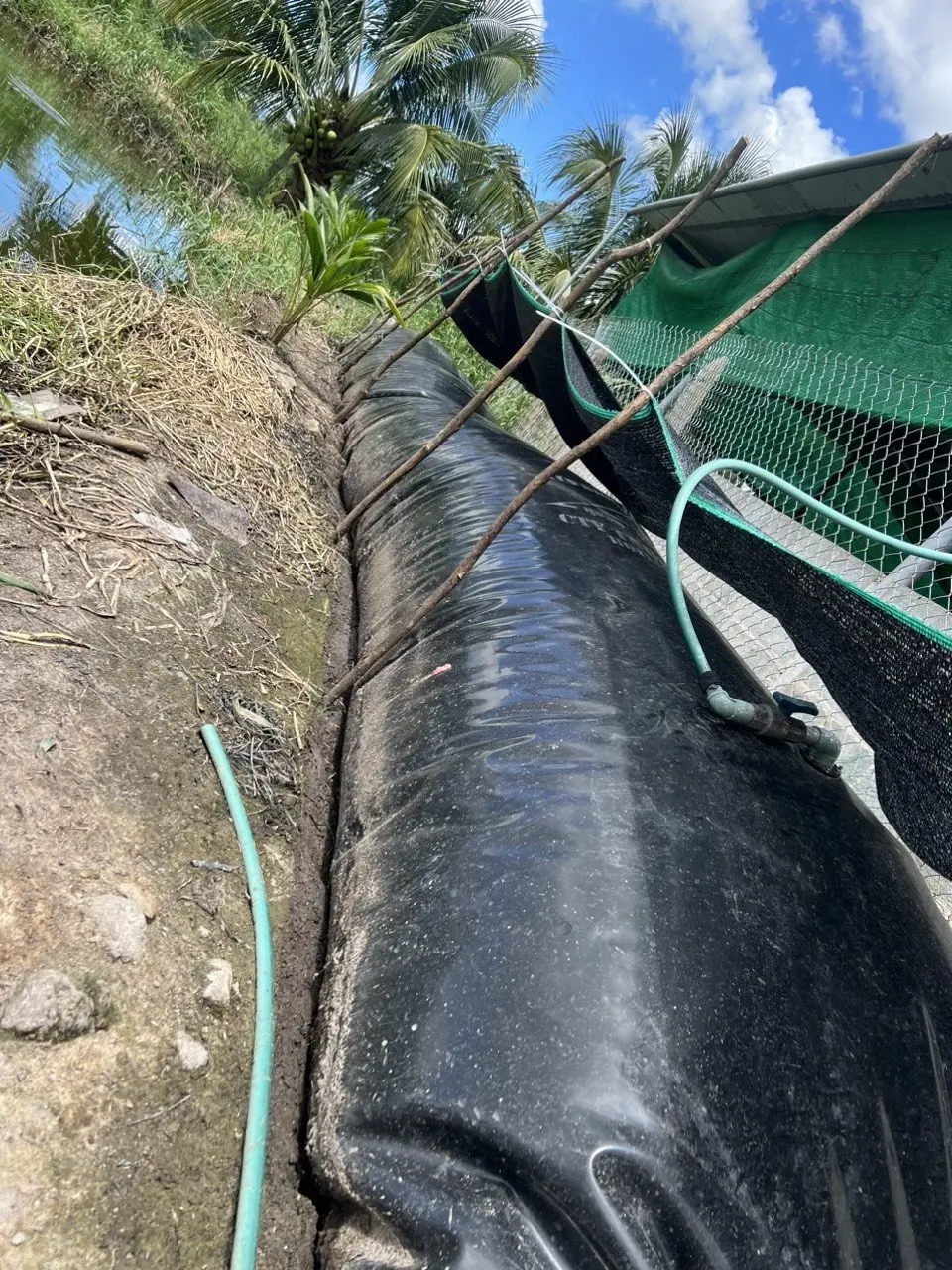Túi Biogas Ứng Dụng Vật Liệu HDPE