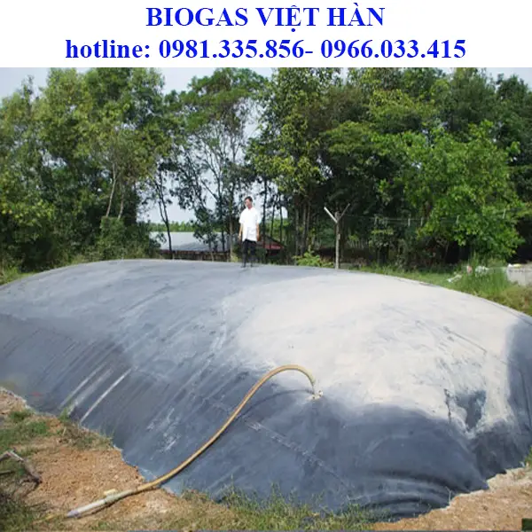 Túi Ủ Biogas HDPE – Hành Trình Hướng Tới Nông Nghiệp Bền Vững