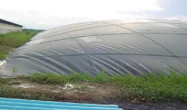 Giá Hầm Biogas HDPE - Giải Pháp Năng Lượng Xanh Bền Vững