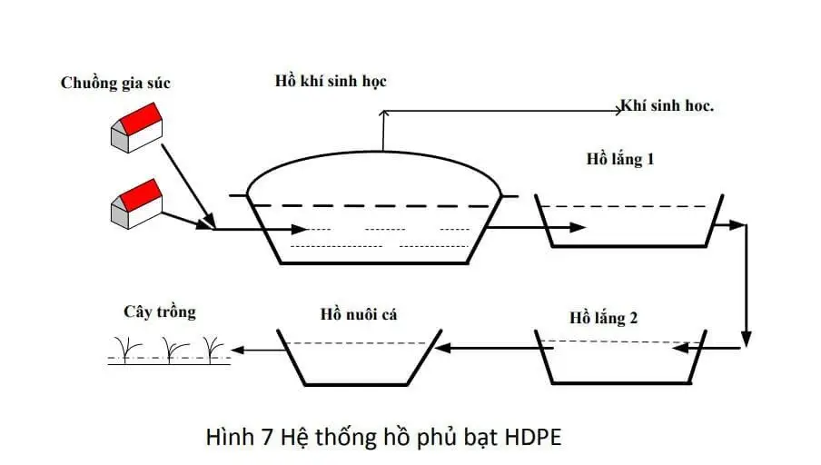 Khám Phá Tiềm Năng Năng Lượng Xanh Với Biogas HDPE