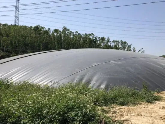 Khám Phá Tiềm Năng Năng Lượng Xanh Với Biogas HDPE
