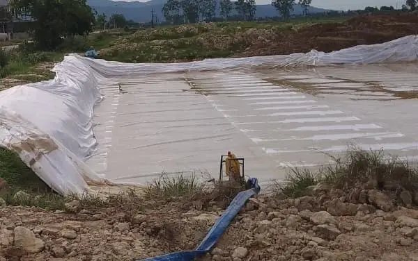 Cách Rải Vải Địa Kỹ Thuật