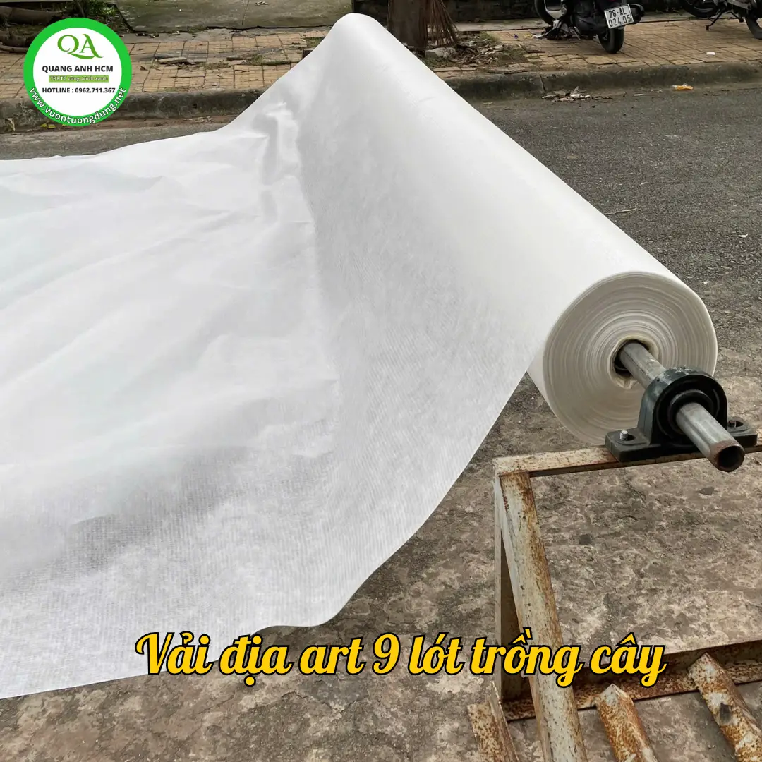 Dệt Nên Tương Lai Bền Vững với Vải Địa Chất