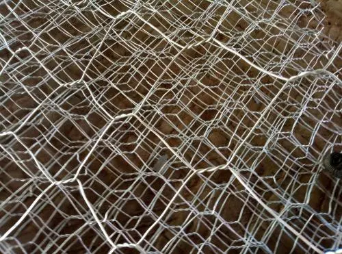 Giá Rọ Đá: Cẩm Nang Toàn Diện